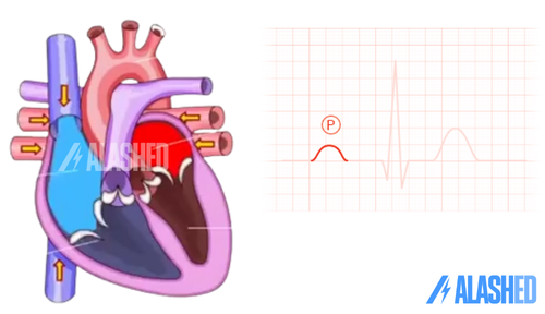 Создание простого ЭКГ-монитора с AD8232 и Arduino