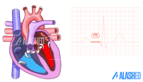 Создание простого ЭКГ-монитора с AD8232 и Arduino