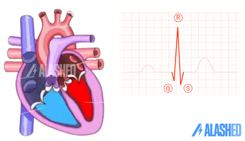 Создание простого ЭКГ-монитора с AD8232 и Arduino