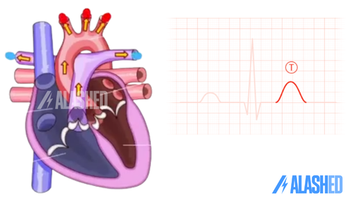 Создание простого ЭКГ-монитора с AD8232 и Arduino