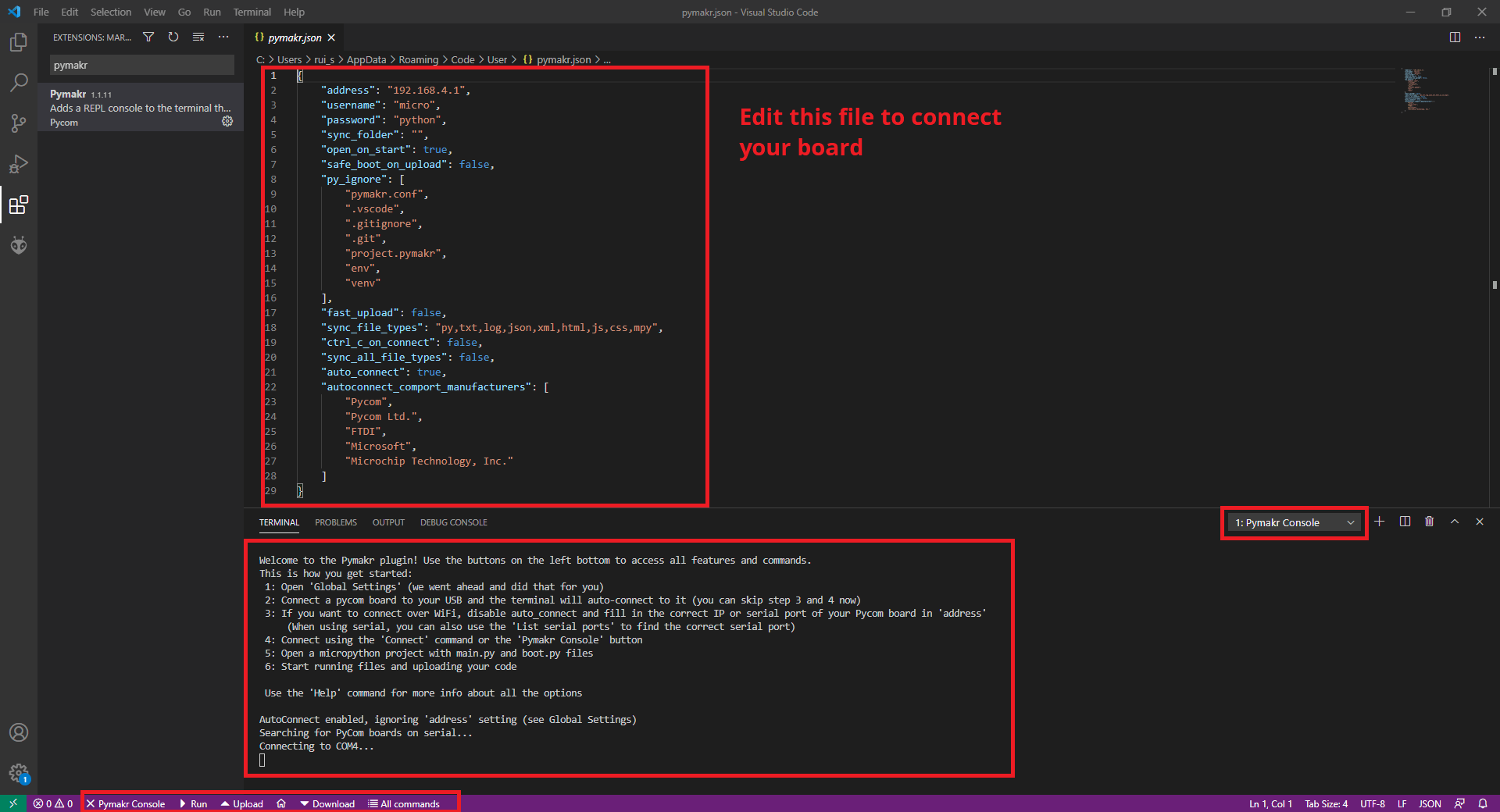 Pymakr установлен — консоль и файл настроек