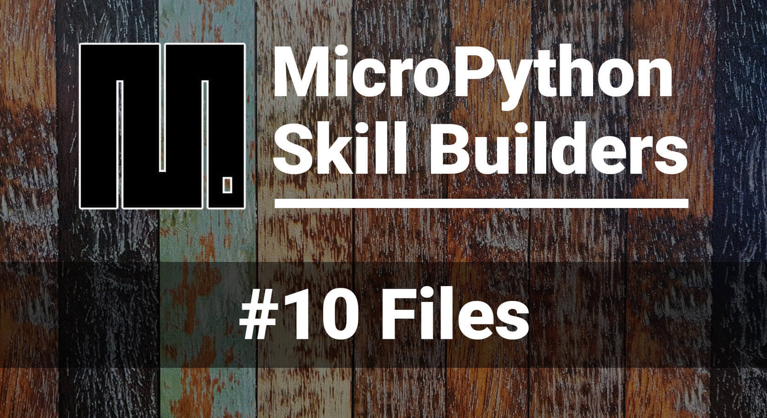 MicroPython Skill Builders — #10 Файлы