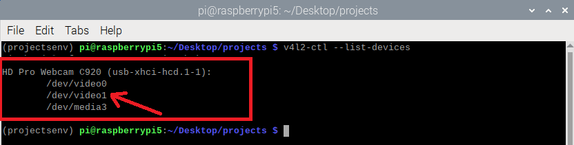 Raspberry Pi — список всех USB-устройств, попробуйте другой идентификатор для веб-камеры