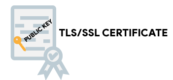 TLS SSL сертификат публичный ключ