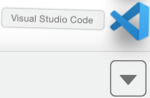 Загруженный файл приложения Visual Studio Code для Mac OS X