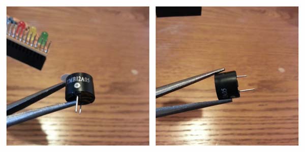 Сборка Fish Dish — маркировка полярности зуммера