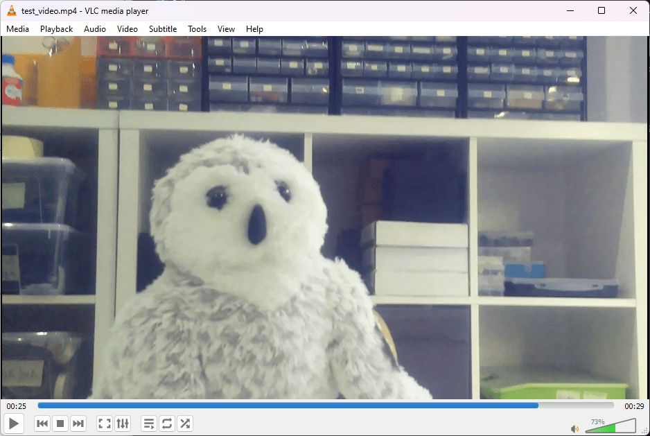 Результат примера скрипта записи видео Picamera2 Python
