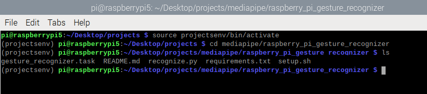 Проверка скрипта примера распознавания жестов MediaPipe