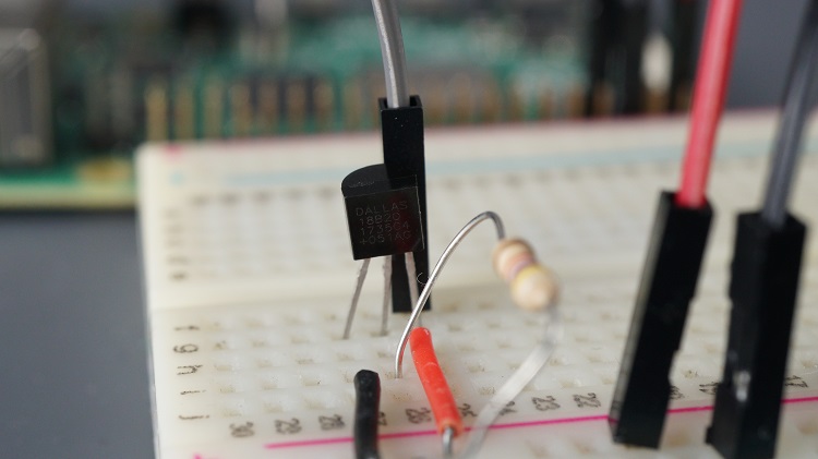 Датчик температуры DS18B20 с Raspberry Pi