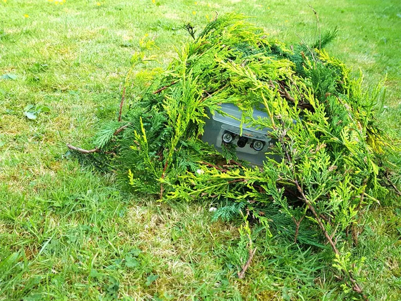 Размещение камеры в природе