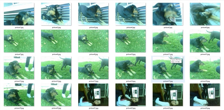 Примеры фотографий ESP32-CAM, сохранённых на MicroSD карту