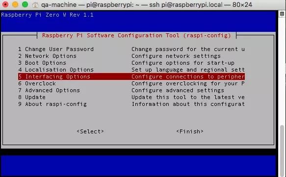 raspi-config Interfacing Options