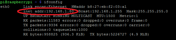 Вывод команды ifconfig с IP-адресом