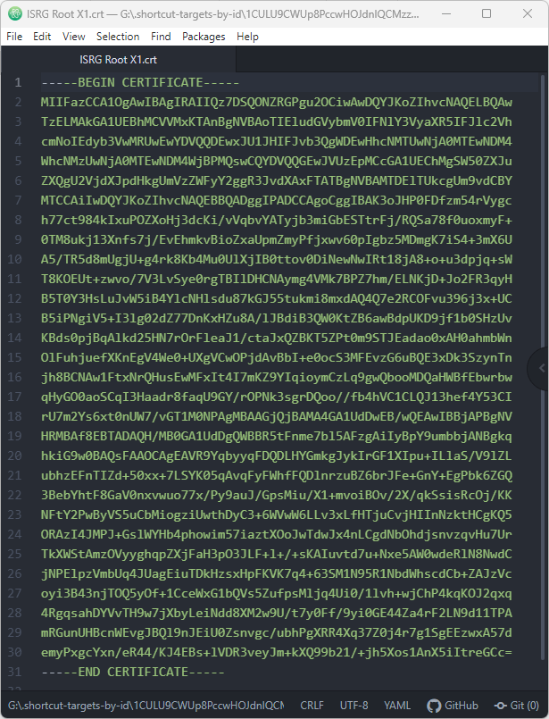 SSL-сертификат в блокноте