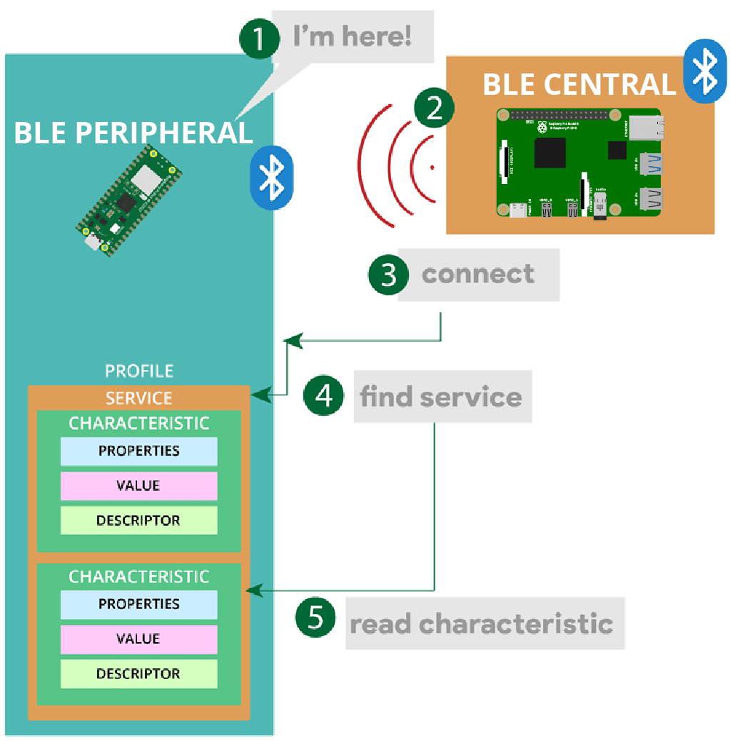 Схема, показывающая как Pico в роли периферийного устройства связывается с Pi в роли центрального устройства BLE